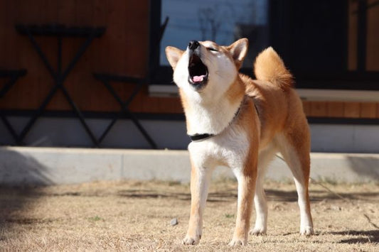 📣なぜ防音になるのか？